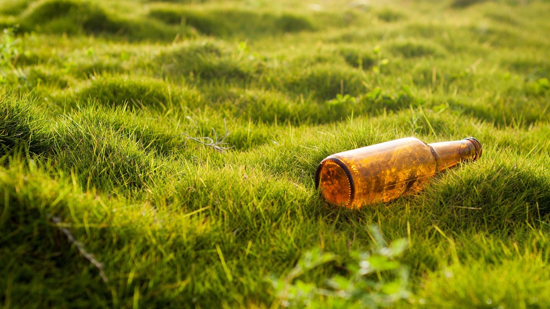 bottle-71176371920crop-min.jpg
